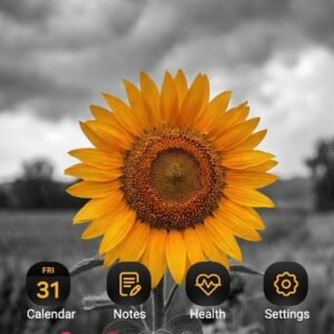 Samsung-Galaxy-Theme-Sunflower-Field-Beneath-Dark-Cloud_thumb.jpg